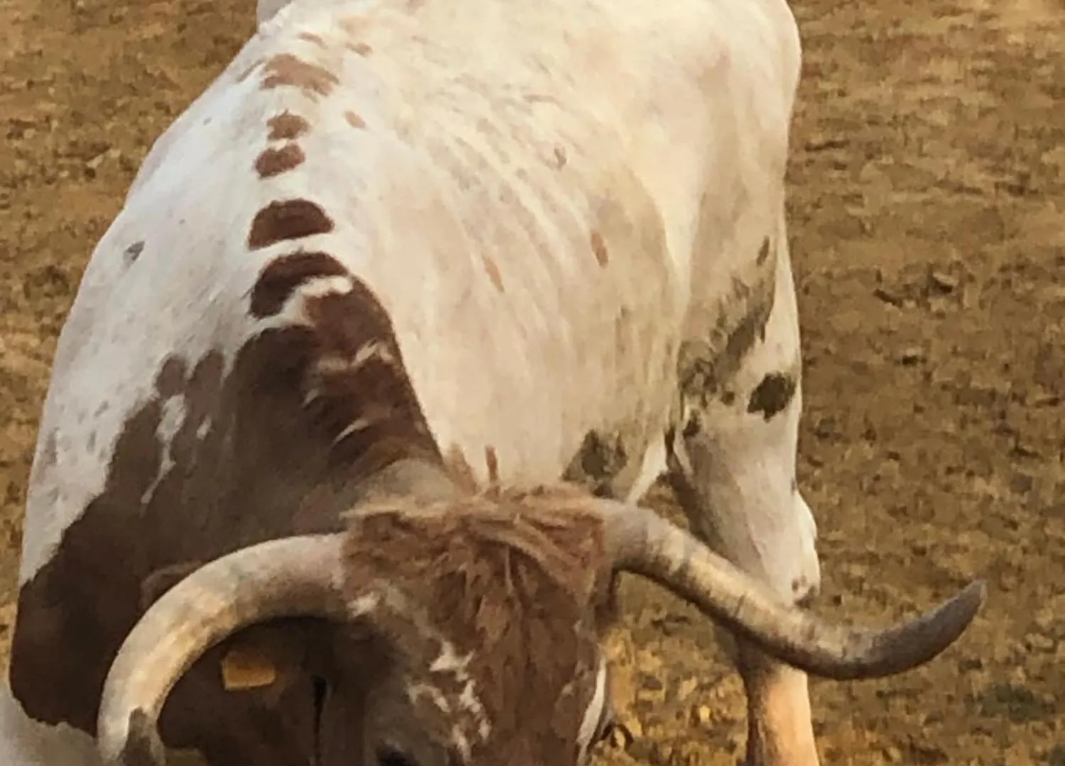 Molino Felix Alojamiento Rurales Gor Holiday home